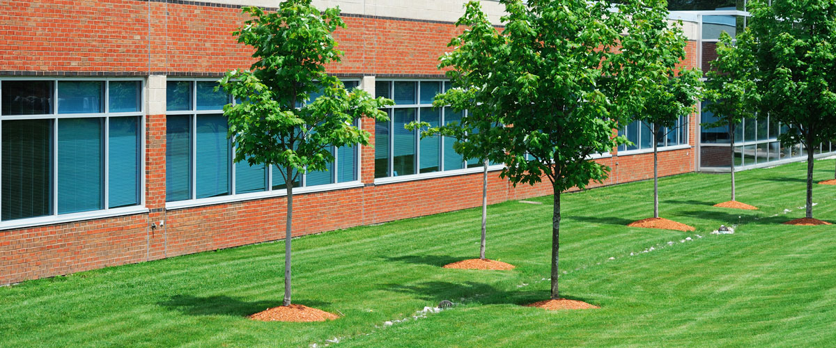commercial lawn care
