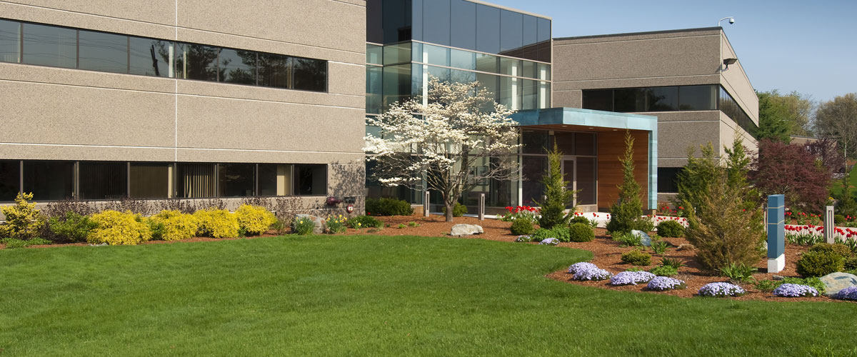 commercial property landscape