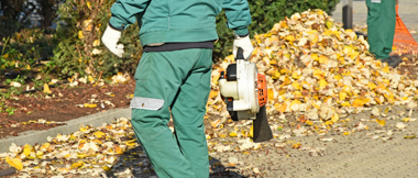 fall cleanup