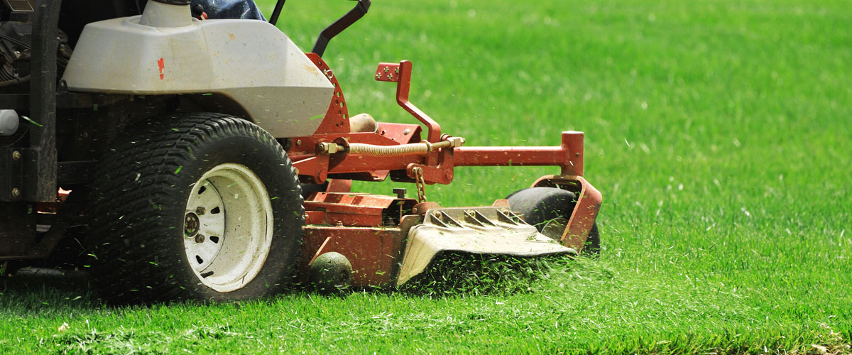 grass cutting