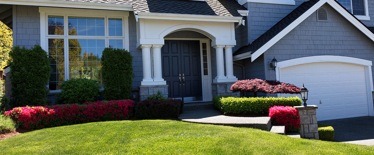 landscaping front house