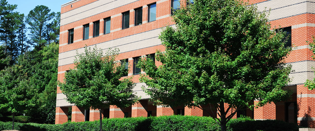 tree service business