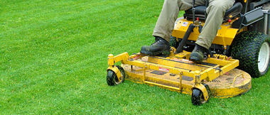 weekly lawncare